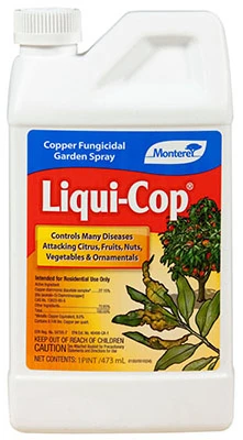 vassartruevalue4442234