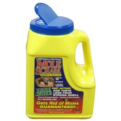 vassartruevalue4479264