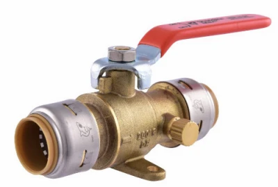 vassartruevalue4494481