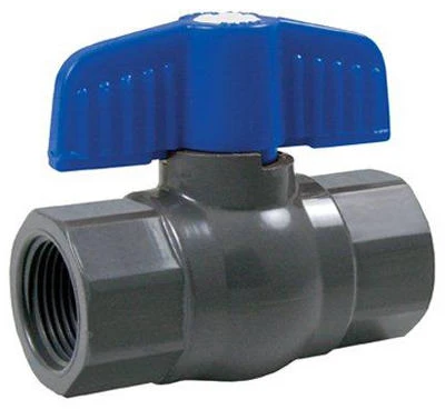 vassartruevalue4583430
