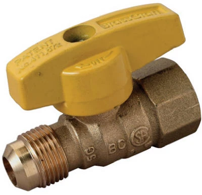 vassartruevalue4704172