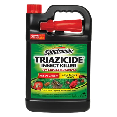 vassartruevalue4746618