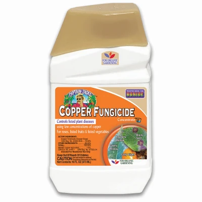 vassartruevalue5104407