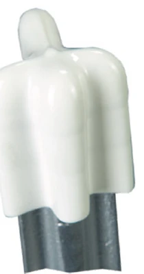 vassartruevalue5161567