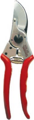 vassartruevalue5255132