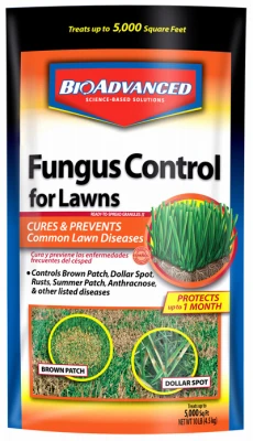vassartruevalue5785058