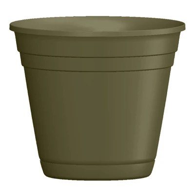 vassartruevalue5900061