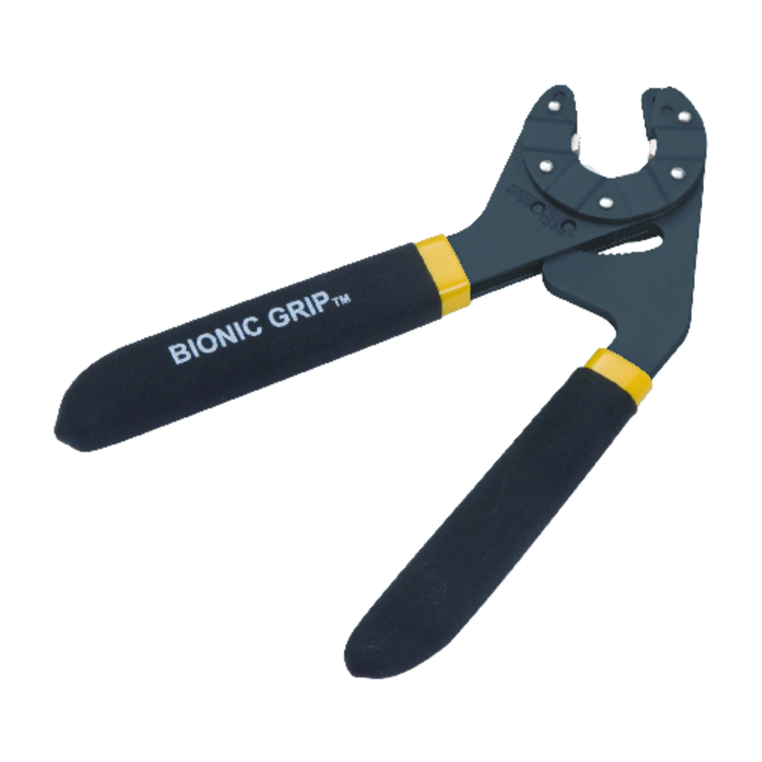 wdbryant4861750