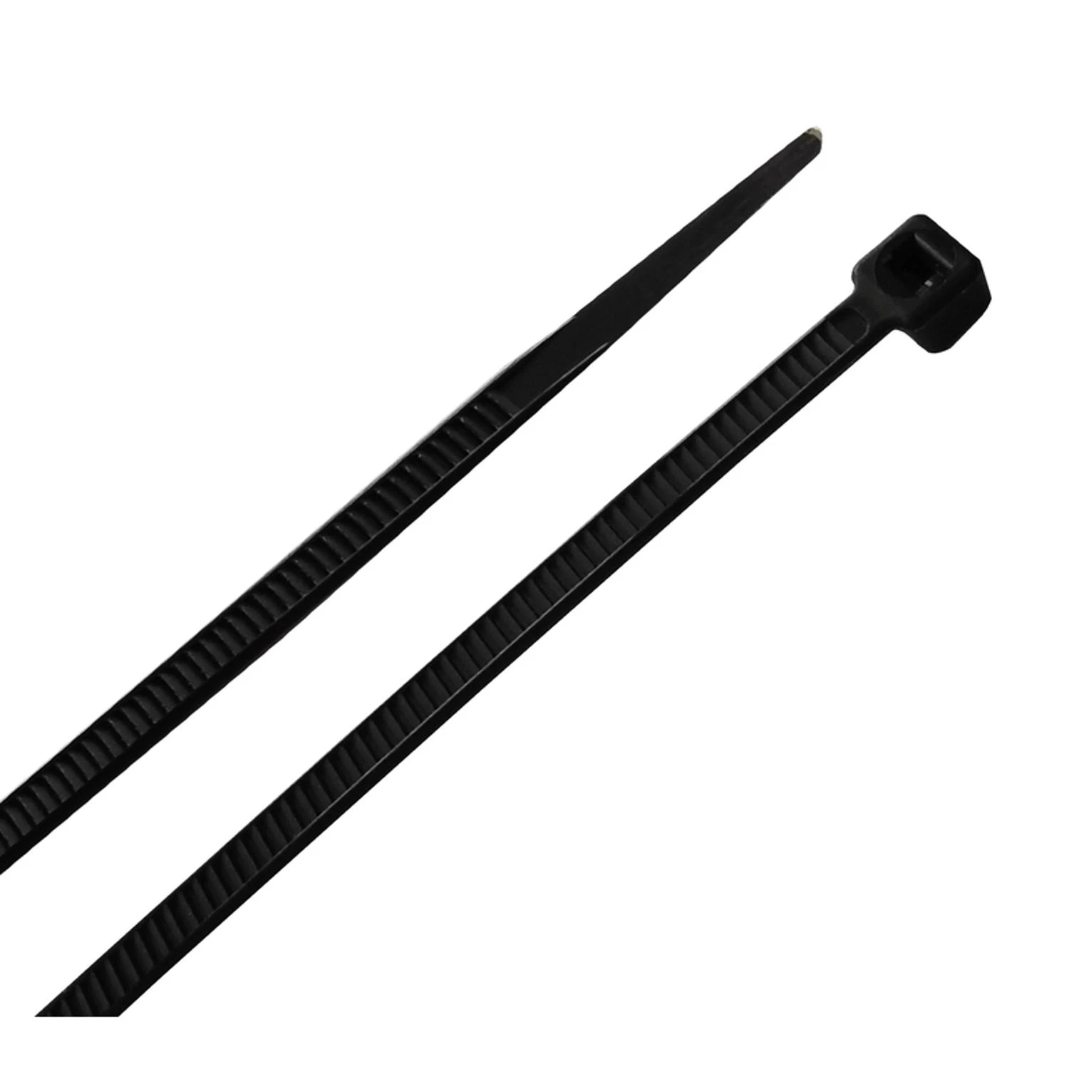 wdbryant5317698