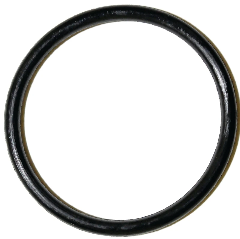 wdbryant6040050